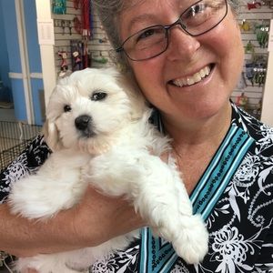 Meet your Posher, Julie